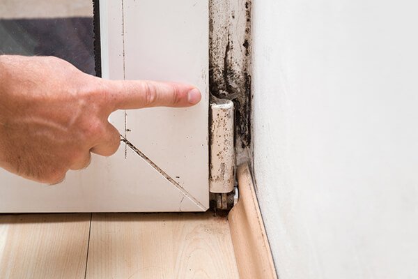 Comprehensive Mold Inspections Burlington, KY