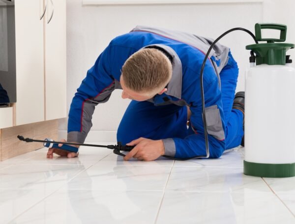 Reliable Pest Control Services in Taylor Mill, KY