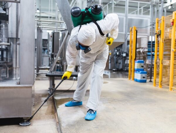 Protect Your Home With Expert Pest Control in Florence, KY 