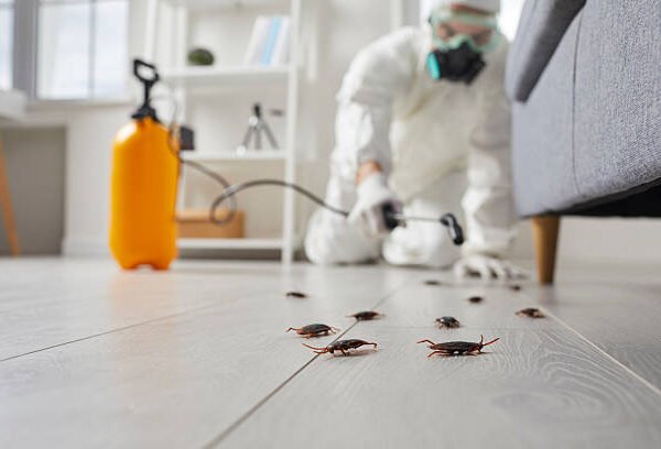 Understanding Treatment Plans From Certified Pest Control Services in Florence, KY
