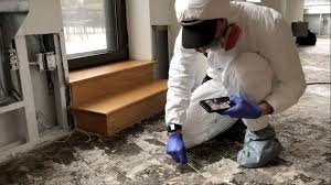 Top Residential Mold And Radon Testing Services In Newport, KY