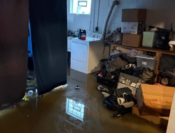 Top Mold and Radon Inspections in Burlington KY