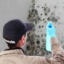 Top Mold and Radon Inspections in Elsmere, KY