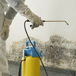 Mold & Radon Inspections Testing in Burlington, KY – One Inspection for Total Peace of Mind