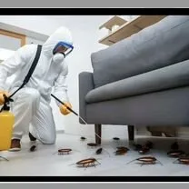 Protect Your Family with Professional Indoor Pest Control in Erlanger