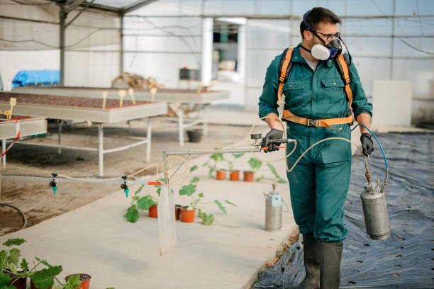 When Should You Schedule Premier Pest Control Services in Florence, KY? A Seasonal Guide for Homeowners