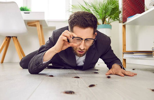How to Prepare Your Home Before Professional Pest Control Services in Florence, KY Arrive