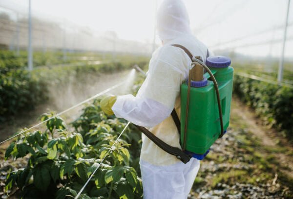 Top-Tier Pest Control Services in Florence, KY: What Certified Protection Should Include