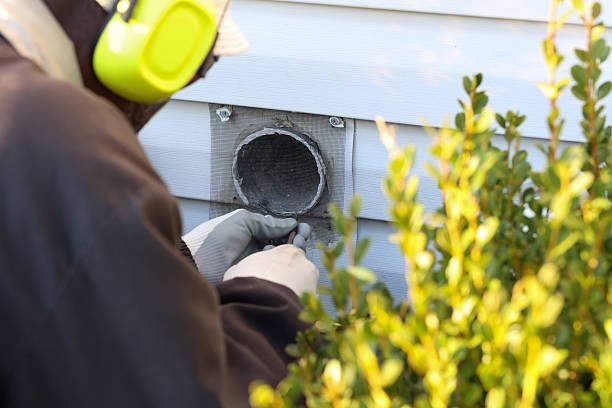 What to Expect from Affordable Dirt Removal Services in Erlanger KY