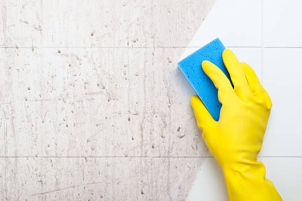 Reliable Dirt Removal Services in Newport, KY