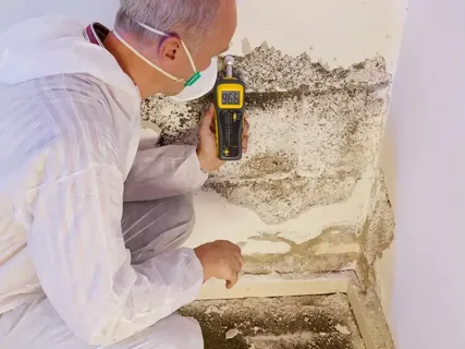 Who Offers Mold Inspection Services in Burlington, KY?