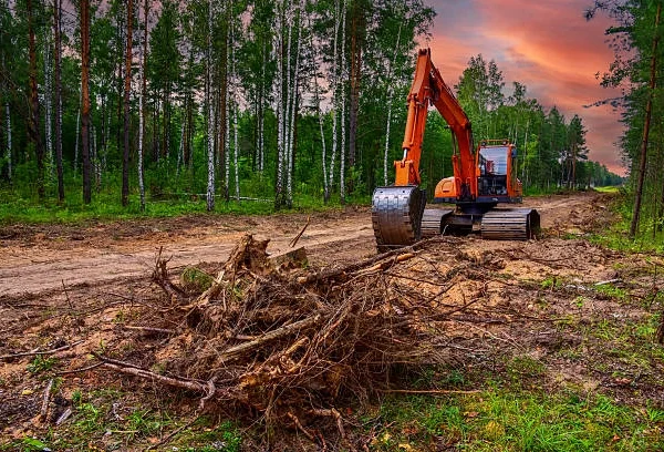 Reliable Land Clearing Services in Burlington, KY