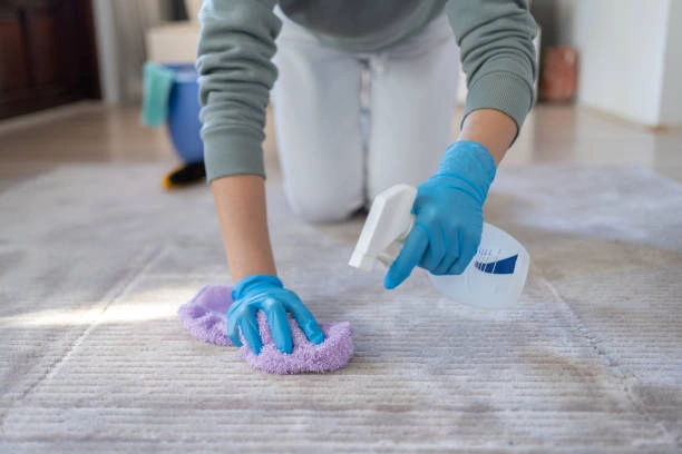 Expert Dirt Removal Services in Elsmere, KY