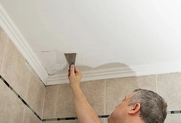 Common Mistakes to Avoid in Mold & Radon Inspections Services in Elsmere, KY
