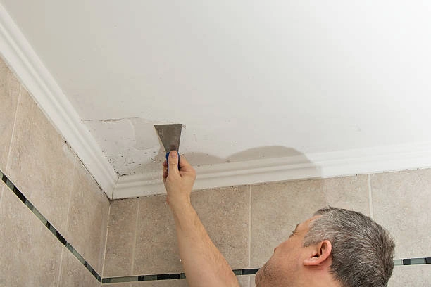 Common Mistakes to Avoid in Mold & Radon Inspections Services in Elsmere, KY
