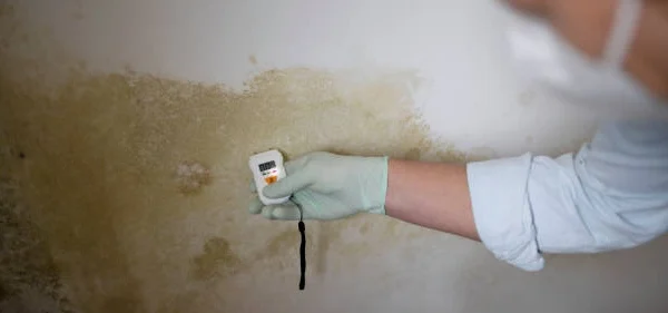 Expert Mold and Radon Inspections Services in Florence, KY