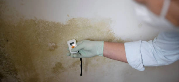 Expert Mold and Radon Inspections Services in Florence, KY