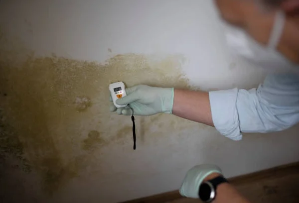 Expert Mold and Radon Inspections Services in Florence, KY
