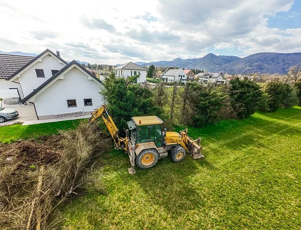 Affordable Land Clearing Services in Burlington KY