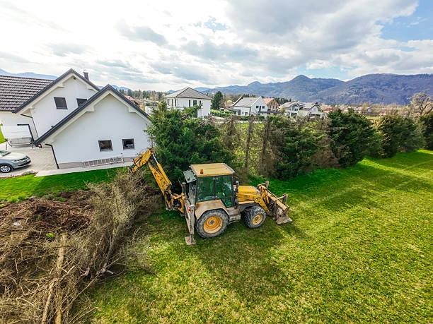 Affordable Land Clearing Services in Burlington KY