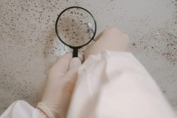 Affordable Mold & Radon Inspection Services in Florence, KY