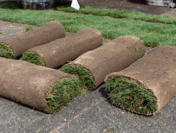 Best Topsoil Installation Services in Covington, KY