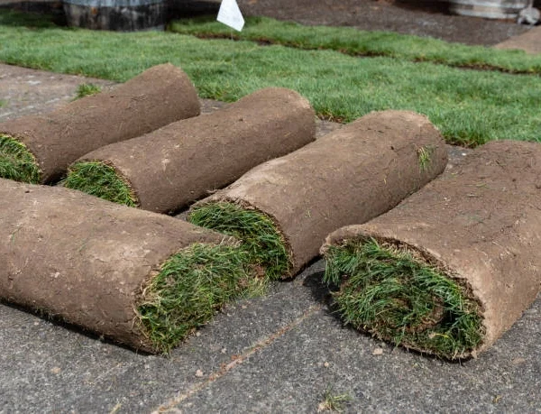 Best Topsoil Installation Services in Covington KY