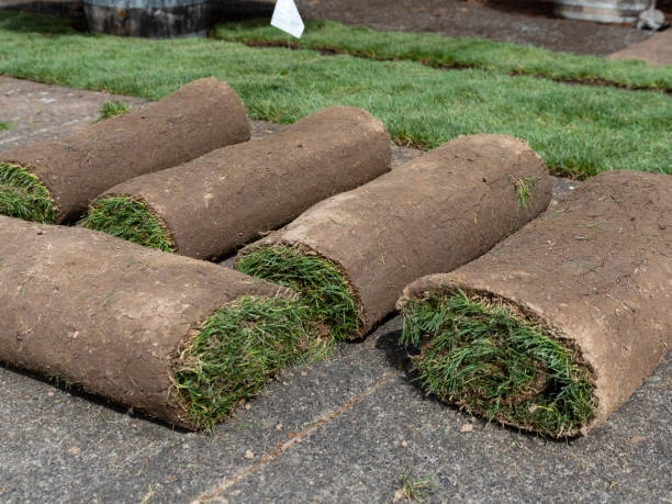 Best Topsoil Installation Services in Covington, KY