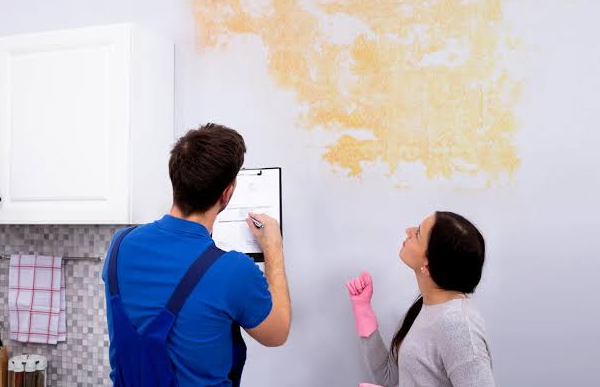 Mold Inspectors in Erlanger, KY: What Your Home Hides Now