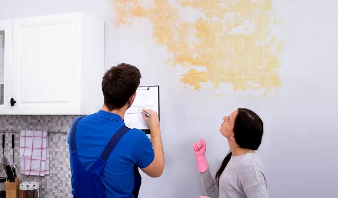 Mold Inspectors in Erlanger, KY: What Your Home Hides Now