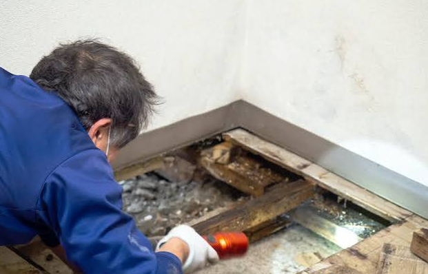 Trusted Mold and Radon Inspections in Burlington, KY