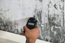 Expert Mold and Radon in Erlanger KY
