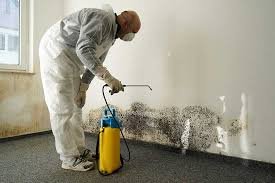 Professional Mold Inspection Services Covington KY 