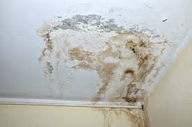 Cost of Mold and Radon Inspections in Elsmere, KY?