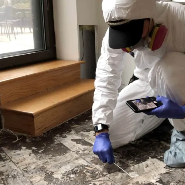 Mold Inspection Services