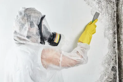 Mold Inspection Services