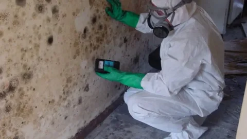 Mold and Radon Inspection Services in Fort Thomas KY