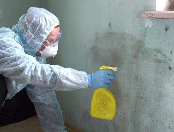 Professional Mold & Radon Inspections in Elsmere, KY