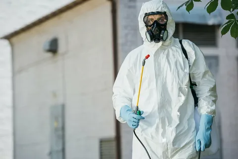 Pest Control Services Near Me