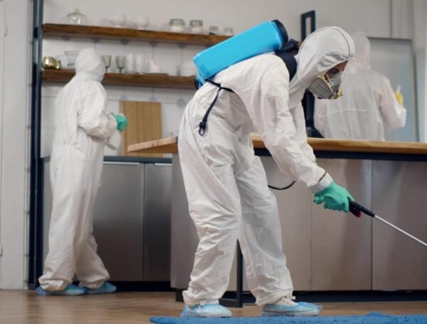 Professional Pest Control Services in Burlington, KY