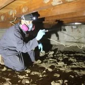 Who Offers Mold and Radon Inspections in Elsmere, KY?